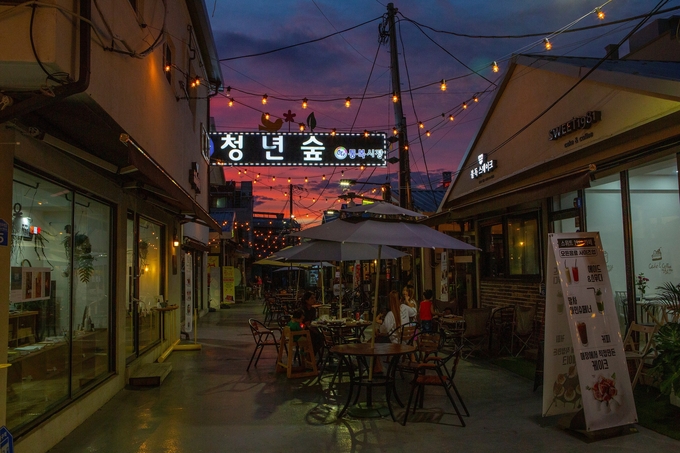 평택 통복시장 청년 숲