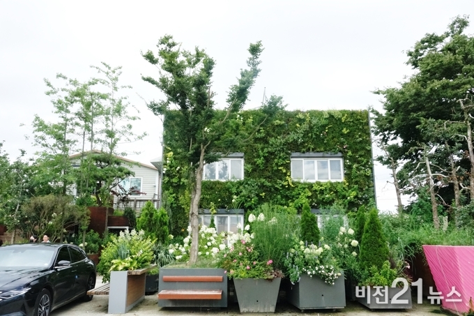 경기도 이천 모가면 사무실 외벽에 설치되어 있는 행복한 수직 정원.