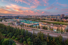 구리농수산물도매시장 2026년 신년 휴업일 안내