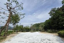 용인특례시, 도시숲 2곳 조성 완료