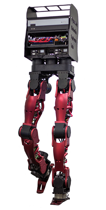 DyrosLegs