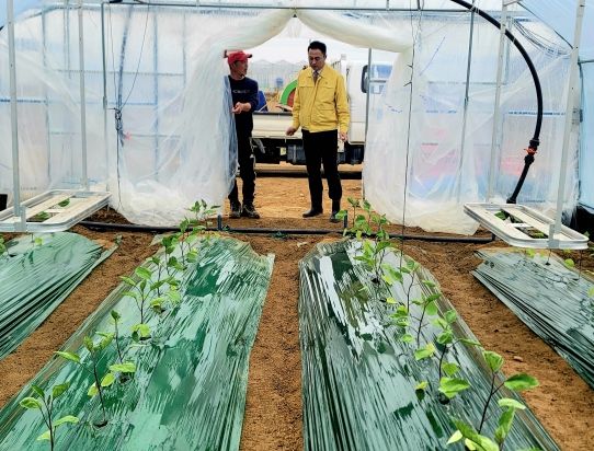 여주시 대신면, 첫 벼 못자리 시작