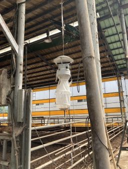 충북도 보건환경연구원, 19일 빨라진 일본뇌염모기 물림 주의하세요