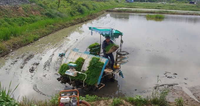 현덕면 농업경영인회 모내기 실시
