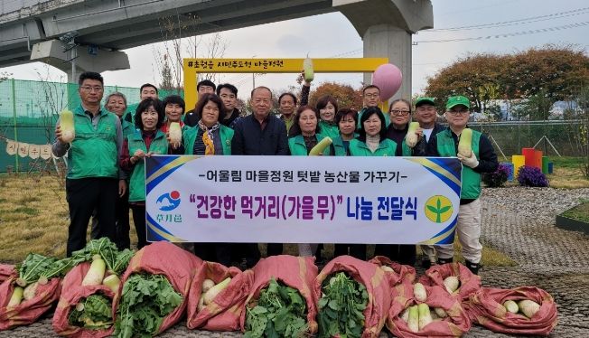 광주시 초월읍 새마을협의회, 마을정원 텃밭 농산물(무) 나눔 행사