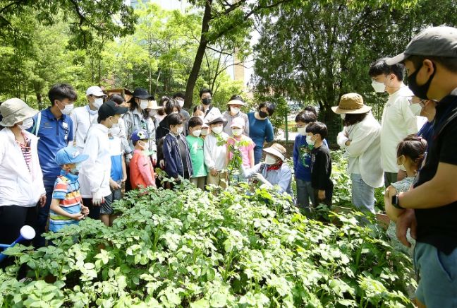 의왕시, 2024년 가막들공원 온가족텃밭교실 참여가족 모집