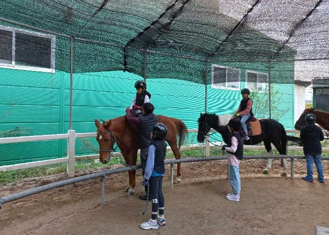 과천시, 학생 승마체험 8일부터 신청 접수