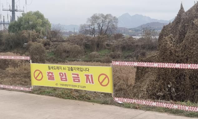 창릉천 철새도래지 출입통제현장