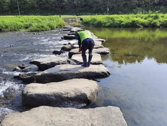 생화학적 산소요구량(BOD)이 최근 2년간 평균 리터당 1.6㎎으로 측정된 성남 탄천 수내교 지점