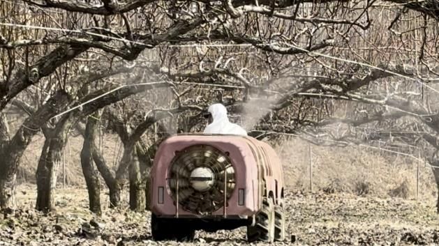 안성시농업기술센터, 과수화상병 개화기 예방약제 살포 철저 당부