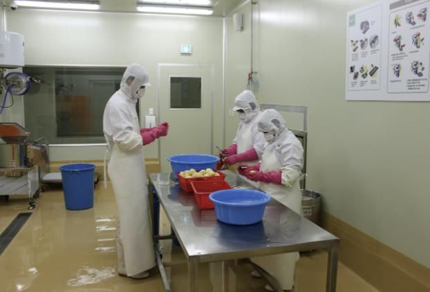 학교급식지원센터 전처리 작업장