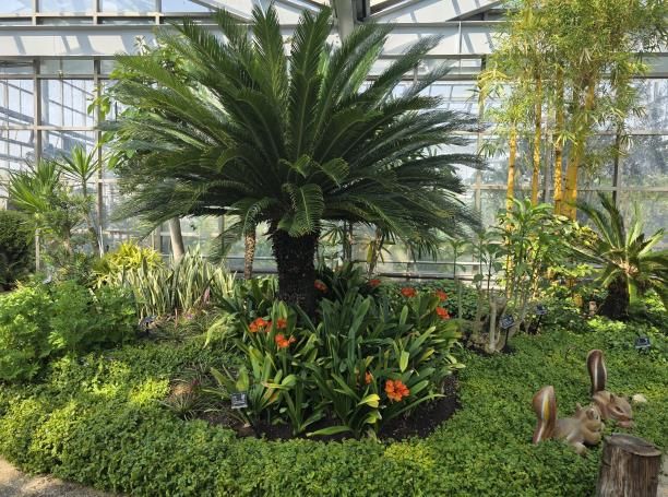 평택시 자연테마식물원, 봄맞이 새 단장