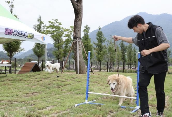 포천문화관광재단, 한탄강 생태경관단지에서 ‘펫티켓 클래스’ 운영