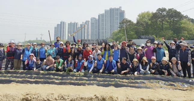 수원시 팔달구 화서1동 '사랑의 고구마 심기'