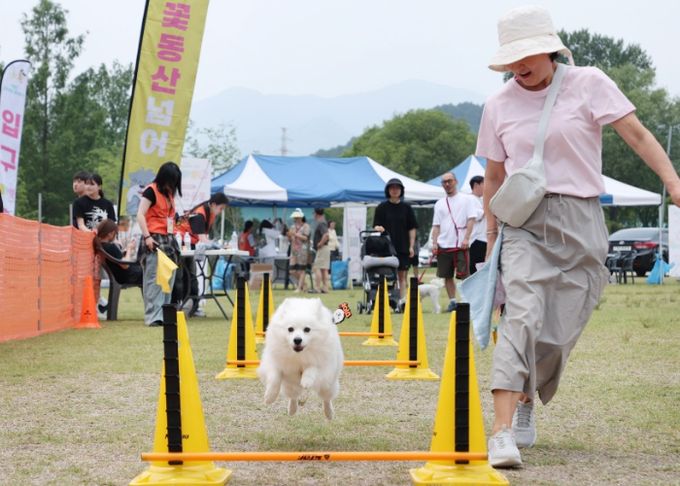 가평군, 반려동물 문화행사 ‘활짝펫’ 성료