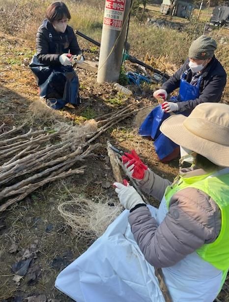 양평군 단월면 지역사회보장협의체, '구구팔팔 장수기원 명아주 지팡이 수확 행사' 개최