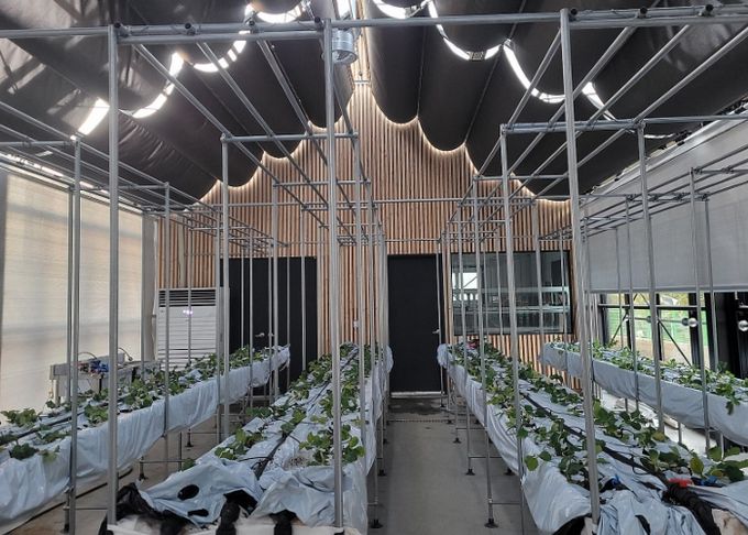 과천시, 도시농업센터 이달 17일 개소…시민이 함께 가꾸는 도심 속 농업 체험 공간