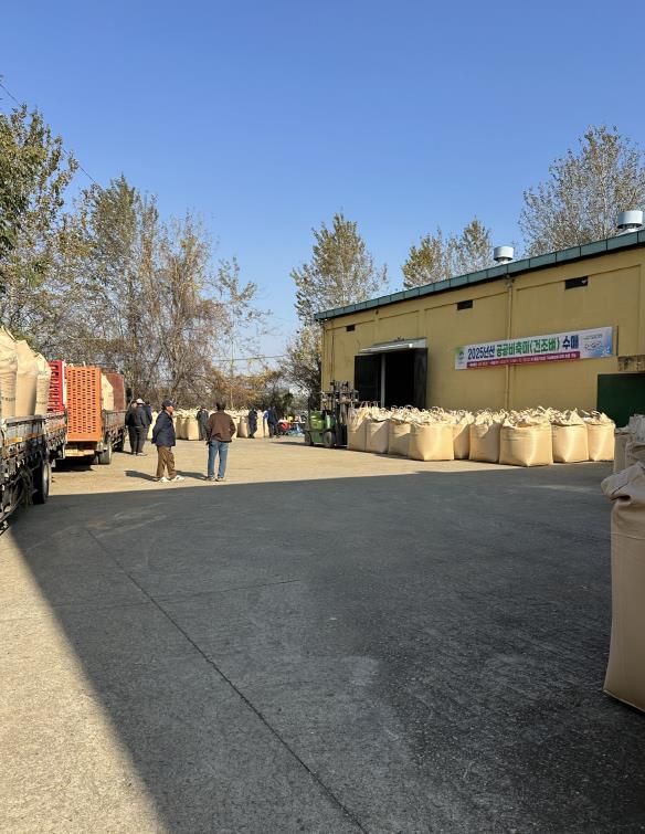 평택시, 2025년산 공공비축미곡 건조벼 매입 실시