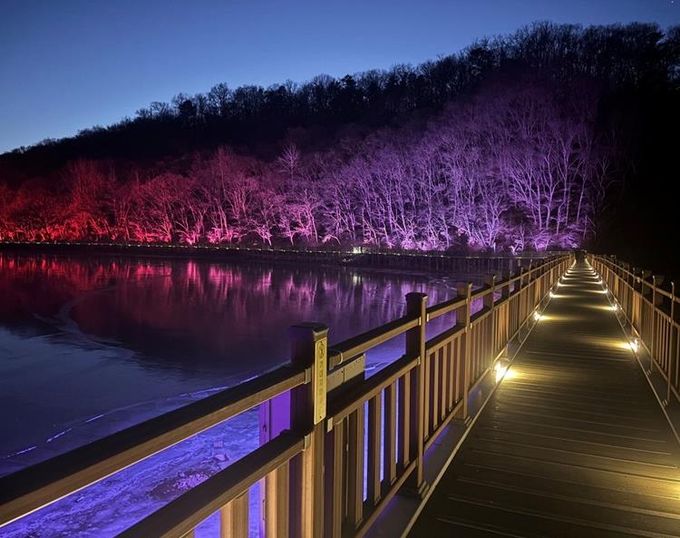 빛으로 새롭게 태어난 파주 공릉호수, 야간 명소로 거듭나다!