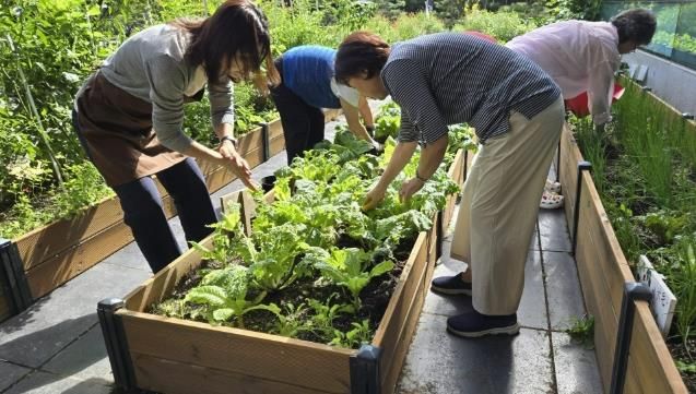 2025년 수원시민들이 수원시농업기술센터 치유농업 활성화 사업에 참여하고 있다.