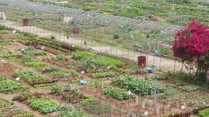 광명시민주말농장.