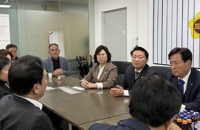 경기도의회 이애형 의원