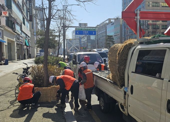 고양시 일산서구, 봄맞이 가로화단 월동시설 철거 완료