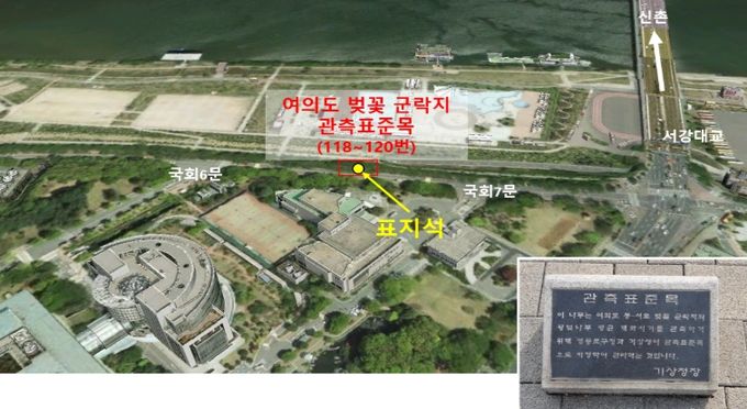 여의도 윤중로 벚꽃 군락 단지 관측 장소