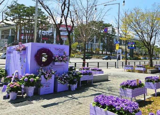 고양국제박람회재단, 꽃박람회 대비 보랏빛 화훼 포토존 설치