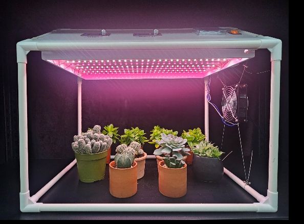 가정용 다육식물 생육상